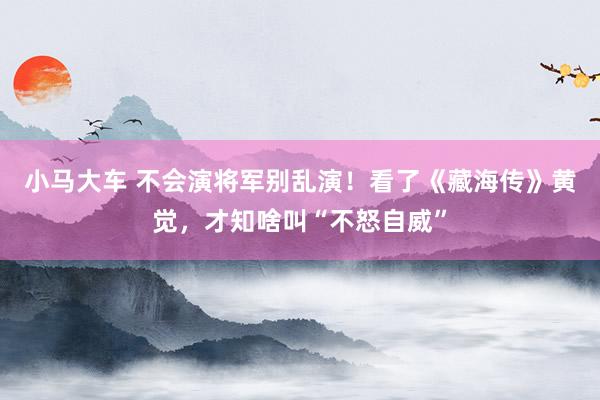 小马大车 不会演将军别乱演！看了《藏海传》黄觉，才知啥叫“不怒自威”