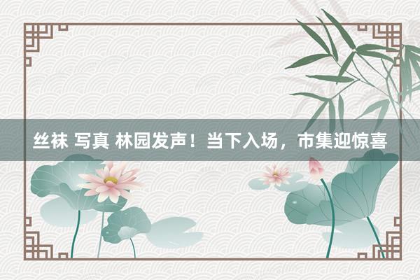 丝袜 写真 林园发声！当下入场，市集迎惊喜