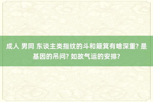 成人 男同 东谈主类指纹的斗和簸箕有啥深重? 是基因的吊问? 如故气运的安排?