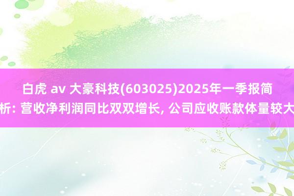 白虎 av 大豪科技(603025)2025年一季报简析: 营收净利润同比双双增长， 公司应收账款体量较大