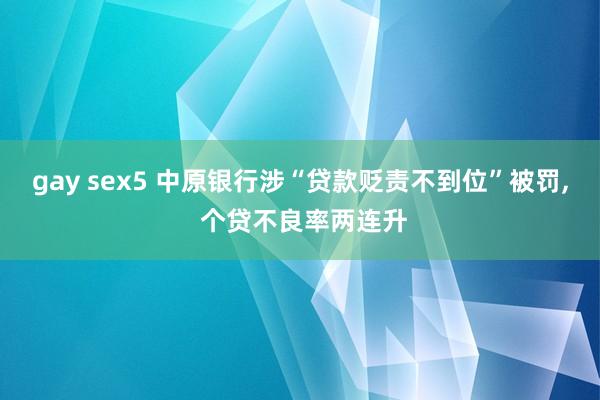 gay sex5 中原银行涉“贷款贬责不到位”被罚， 个贷不良率两连升