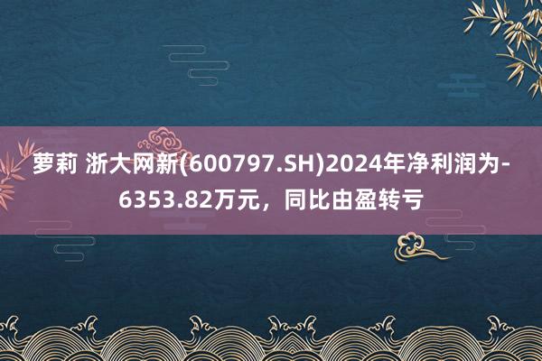 萝莉 浙大网新(600797.SH)2024年净利润为-6353.82万元，同比由盈转亏