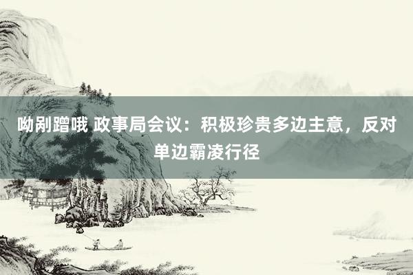 呦剐蹭哦 政事局会议：积极珍贵多边主意，反对单边霸凌行径