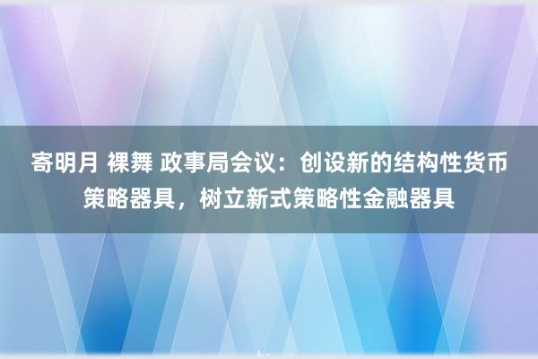 寄明月 裸舞 政事局会议：创设新的结构性货币策略器具，树立新式策略性金融器具