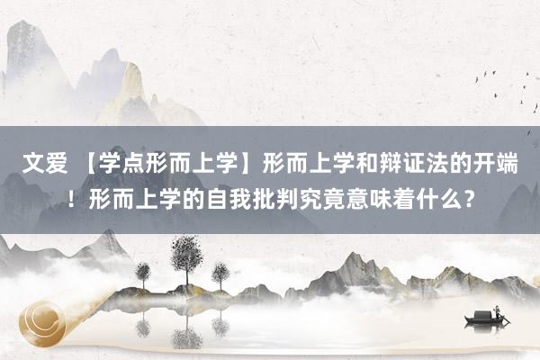 文爱 【学点形而上学】形而上学和辩证法的开端！形而上学的自我批判究竟意味着什么？