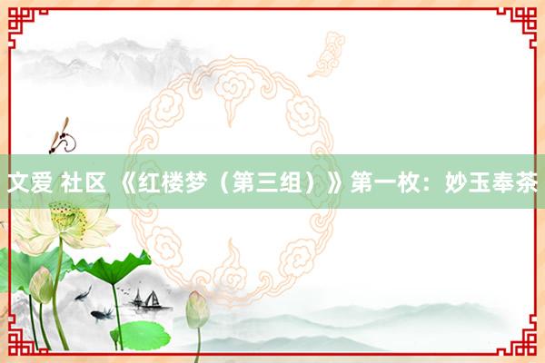 文爱 社区 《红楼梦（第三组）》第一枚：妙玉奉茶